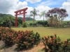 Japonská zahrada ve státě Espirito Santo