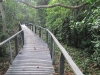 Cahuita - národní park