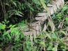 Cahuita - národní park
