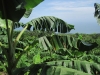 Ostrov Ometepe