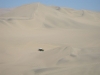 Huacachina: bugina
