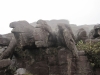Vrchol hory Roraima