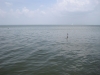 Jezero Maracaibo - největší jezero v Jižní Americe